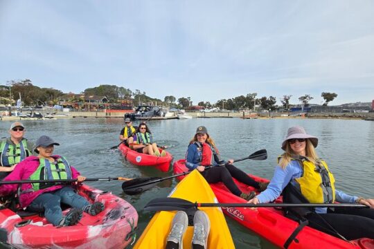 Veteran's Day in Dana Point