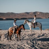 Horseback Riding