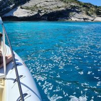 Luxury Tours