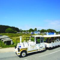 Cultural Tours