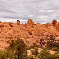 Photography Tours
