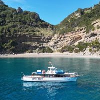 Cruises, Sailing & Water Tours