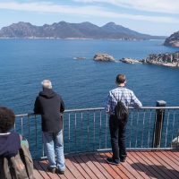 Wine Tasting & Winery Tours