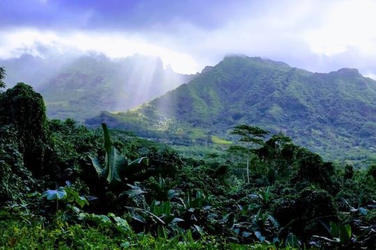 Valentine's Day in Raiatea