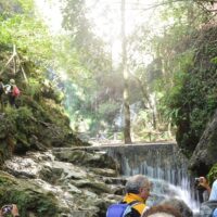Sustainable Tours