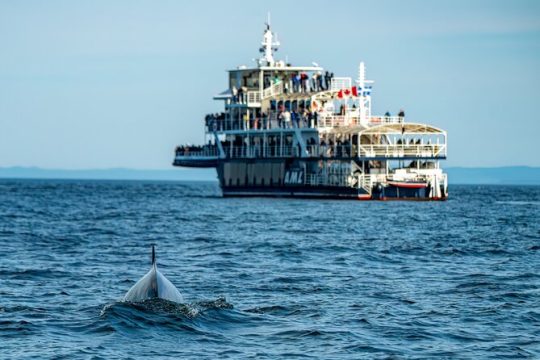 New Year’s Day long weekend in Tadoussac