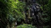 Great hike