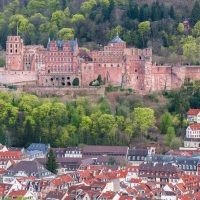 Private Sightseeing Tours