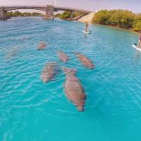 Holiday & Seasonal Tours