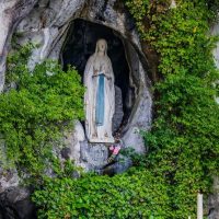 Tours & Sightseeing