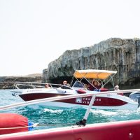 Day Cruises