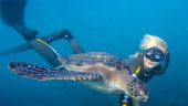A lovely La Jolla Snorkeling experience