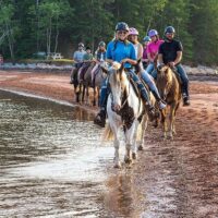 Horseback Riding