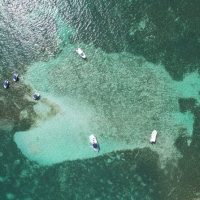 Cruises, Sailing & Water Tours