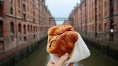 Great Introduction to Hamburg