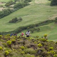 Hiking & Camping