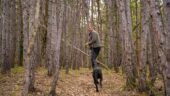 Staff was exceptional; but, the dogs seem to have a hard time concentrating on finding truffle. Brunch was delicious.