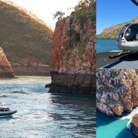 Holiday & Seasonal Tours