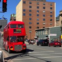 City Tours