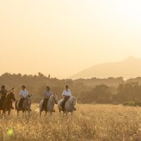 Horseback Riding