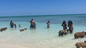 Not crowded, great experience!