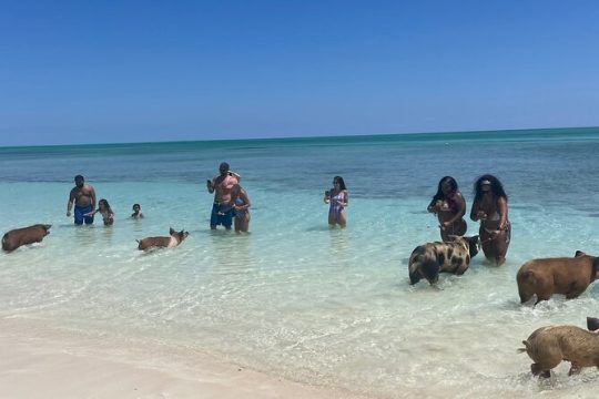 New Year’s Day long weekend in Grand Bahama Island