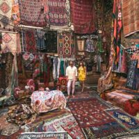 Half-day Tours