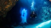 Great Diving Experience