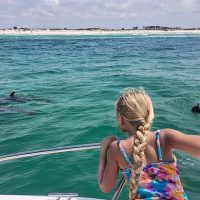 Private & Custom Tours