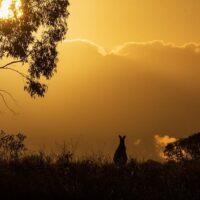 Photography Tours