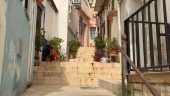 Fun way to explore Alicante