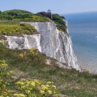 Luxury Tours