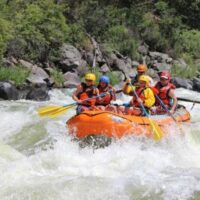 Boat Tours