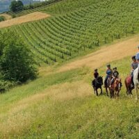 Horseback Riding