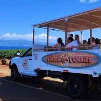 Trolley Tours
