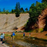 Bus & Minivan Tours
