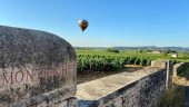 Fun and educational wine tour of Burgundy