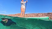 Fantastic island excursion!