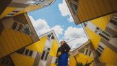 The best way to get to know Rotterdam