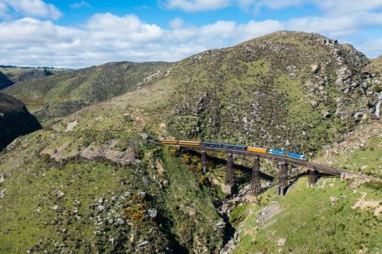 New Year’s Eve in Dunedin & The Otago Peninsula