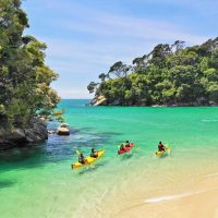 Cultural & Theme Tours