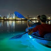 Boat Rentals