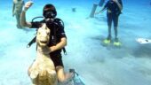 We had a lovely scuba...