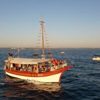 Port Transfers