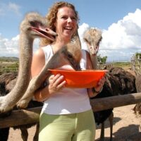 Sightseeing Tickets & Passes