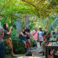 Entertainment Packages