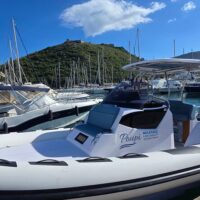 Boat Tours
