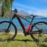 Bike Rentals