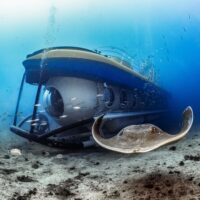 Submarine Tours