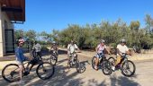 a wealth of experiences - a 3-hour journey through olive groves and the history of the region with a competent guide